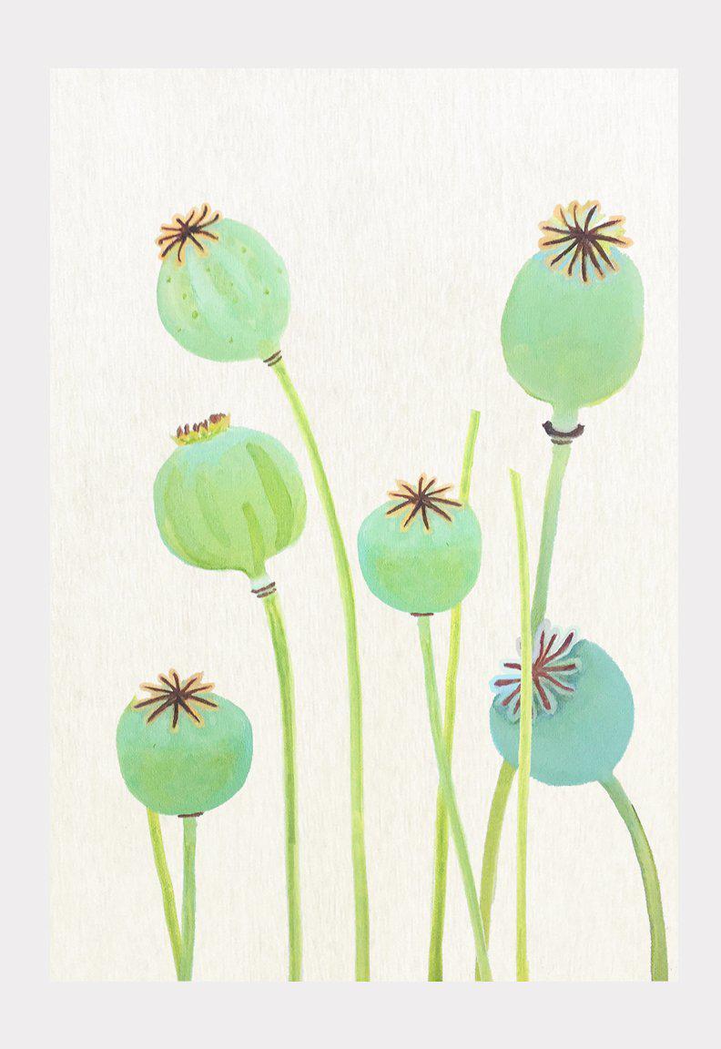 Art Print:  Poppy Pods on Ecru